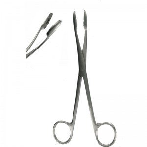 Sponge Forceps