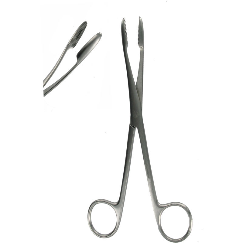 Sponge Forceps