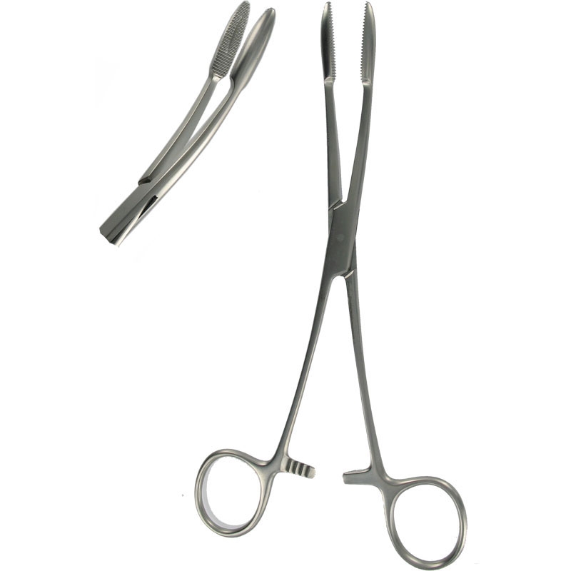 Sponge Forceps